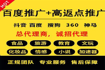 百度广告投放技巧与案例分享